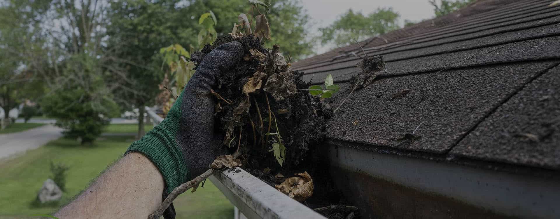 Gutter Cleaning
