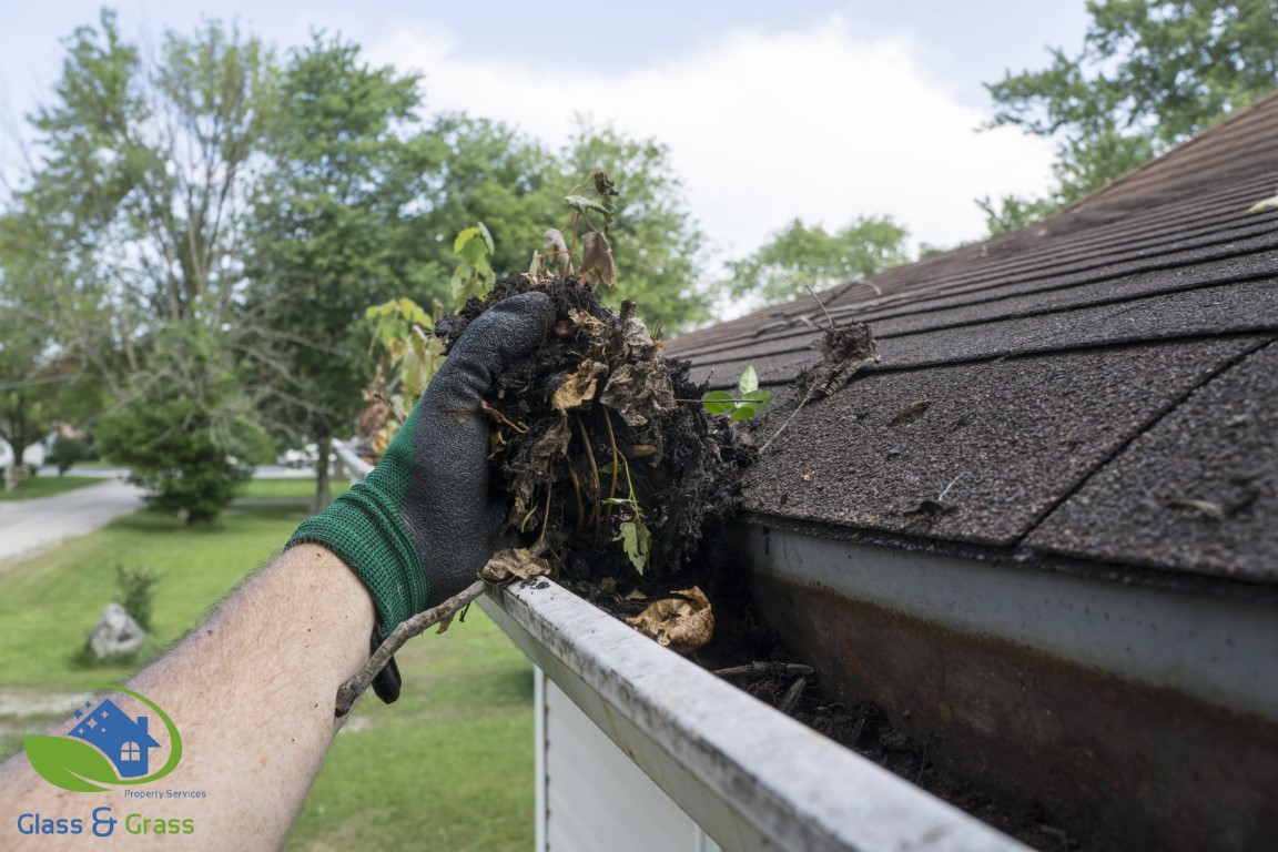 Gutter cleaning