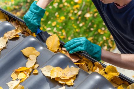 Quarterly Gutter Care Plan
