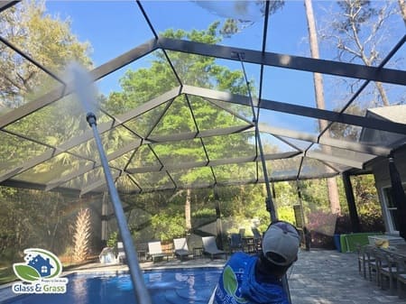 Screen enclosure cleaning how to remove green algae without damaging screens
