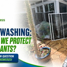Will House Washing Kill Your Plants? Here's the Truth.