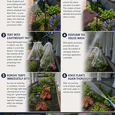DIY FRI: Protect Your Plants Like a Pro During a House Wash