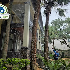 Glass-and-Grass-Trusted-Company-for-House-Washing-and-Window-Cleaning-in-Amelia-Island-Plantation-1757985561 5