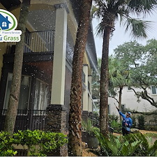 Glass-and-Grass-Trusted-Company-for-House-Washing-and-Window-Cleaning-in-Amelia-Island-Plantation 6