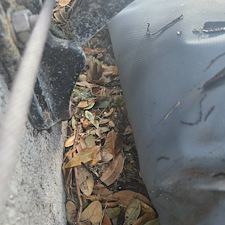 Gutter-cleaning-for-pools-Fernandina-Beach-Florida 1